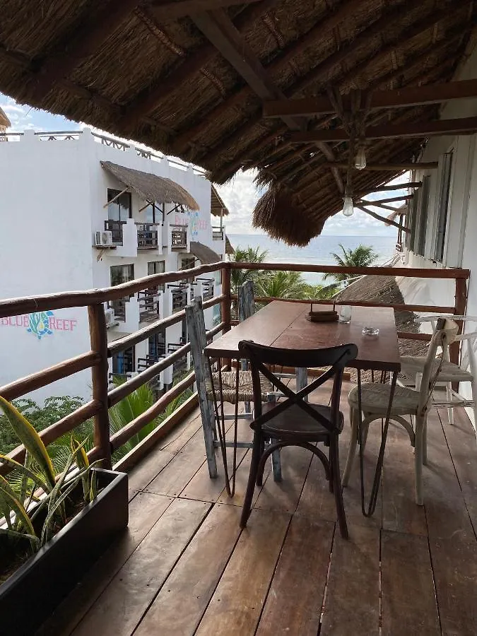 Beautiful Apartment With Big Balcony, A Few Steps From The Beach! Mahahual