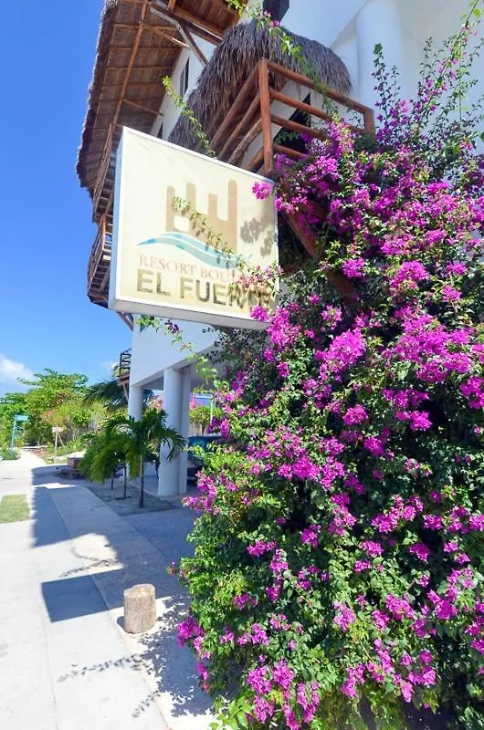 Beautiful Apartment With Big Balcony, A Few Steps From The Beach! Mahahual